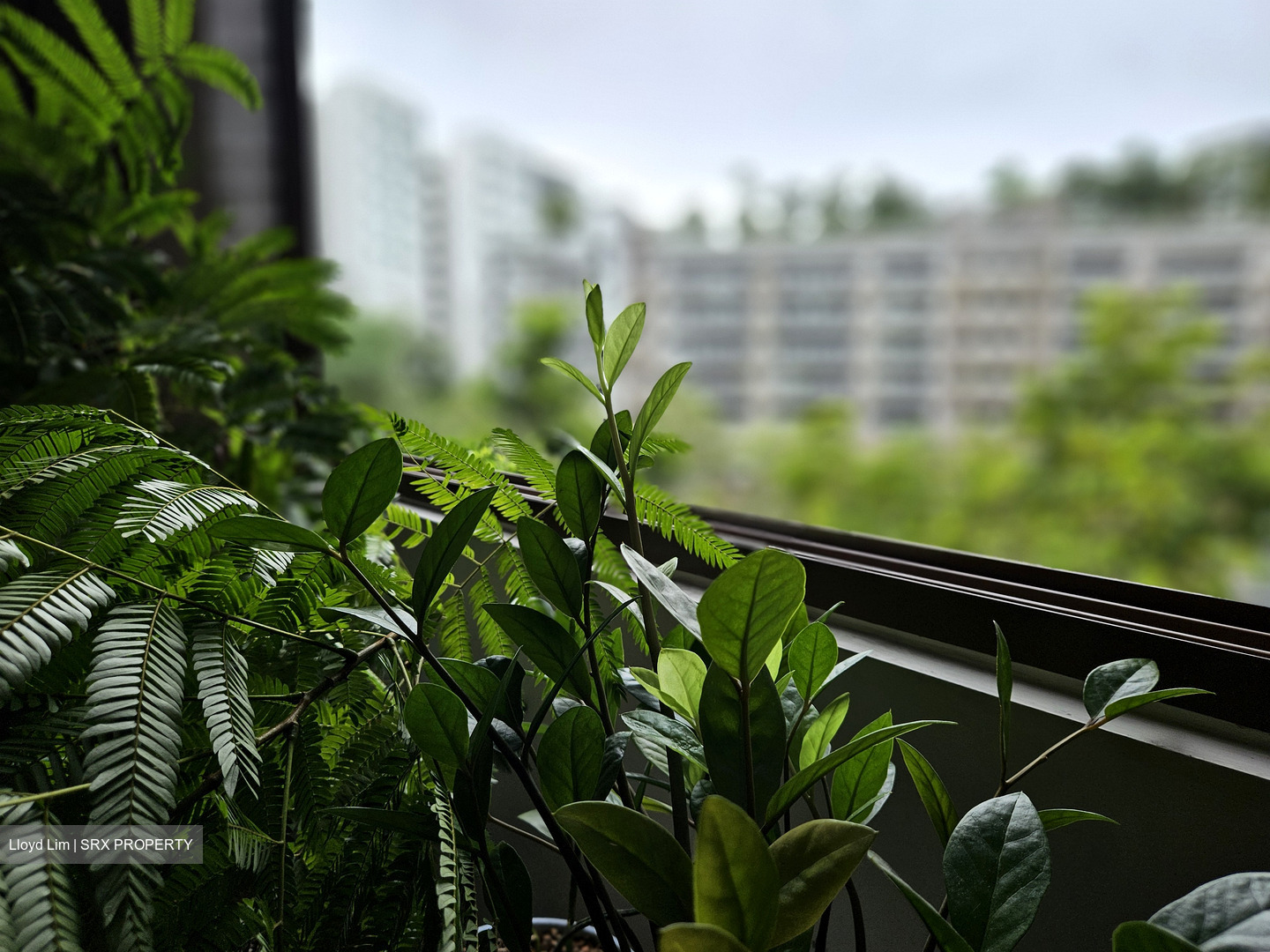 The Criterion (D27), Condominium #446598931